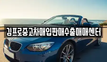 전라남도 나주시 보산동 중고차 전문 김프로중고차매입판매수출매매센터