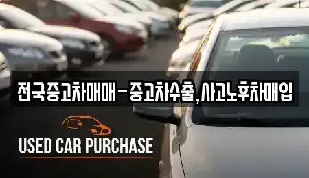 전라남도 나주시 보산동 중고차매입 전문 전국중고차매매-중고차수출,사고노후차매입
