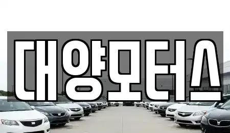 전라남도 나주시 송월동 중고차 전문 대양모터스