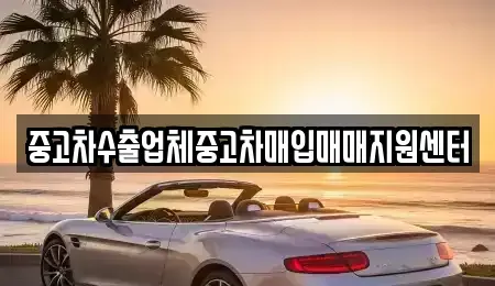전라남도 나주시 왕곡면 중고차 전문 중고차수출업체중고차매입매매지원센터