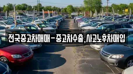 전라남도 목포시 보광동1가 중고차매매 전문 전국중고차매매-중고차수출,사고노후차매입