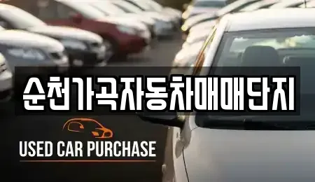 전라남도 순천시 가곡동 중고차매매,단기렌트카,중고차매입,장기렌트카,중고차,렌트카