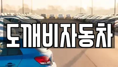 전라남도 순천시 가곡동 중고차매입 전문 도깨비자동차