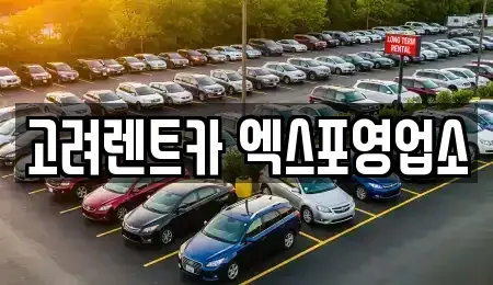 전라남도 여수시 봉산동 렌트카 전문 고려렌트카 엑스포영업소
