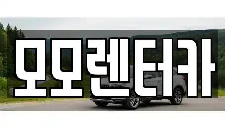 전라남도 여수시 웅천동 렌트카 전문 모모렌터카
