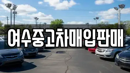 전라남도 여수시 웅천동 중고차 전문 여수중고차매입판매