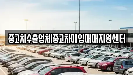 전라남도 여수시 웅천동 중고차매입 전문 중고차수출업체중고차매입매매지원센터