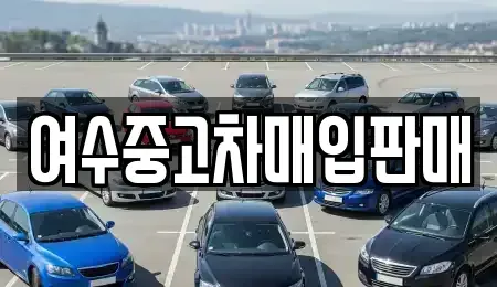 전라남도 여수시 적량동 렌트카,단기렌트카,장기렌트카,중고차,중고차매매,중고차매입