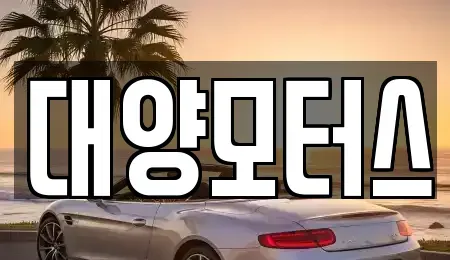 전라남도 장성군 삼서면 중고차매매 전문 대양모터스