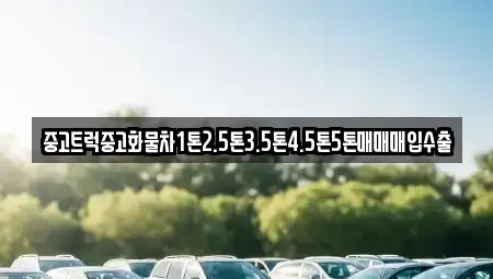 전북 군산시 해망동 중고차매입 전문 중고트럭중고화물차1톤2.5톤3.5톤4.5톤5톤매매매입수출
