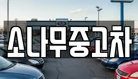 전북 김제시 요촌동 중고차 전문 소나무중고차