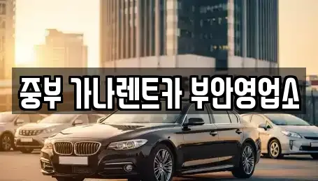 전북 부안군 부안읍 렌트카 전문 중부 가나렌트카 부안영업소