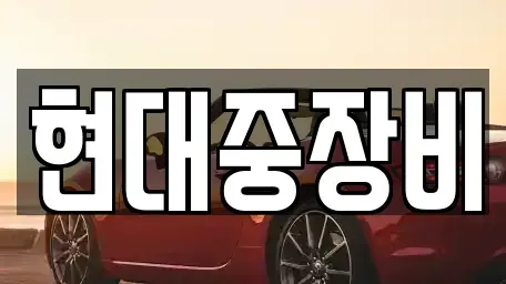 전북 전주시 덕진구 성덕동 중고차매매 전문 현대중장비