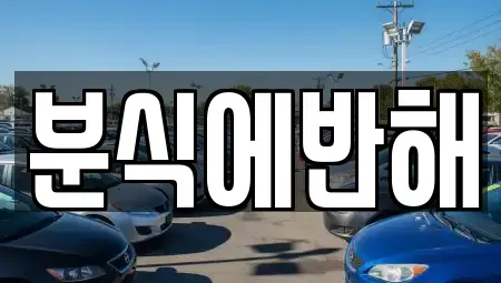 전북 전주시 덕진구 성덕동 중고차매입 전문 분식에반해