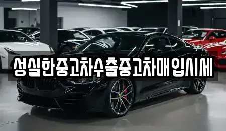 전북 전주시 덕진구 전미동2가 중고차매매 전문 성실한중고차수출중고차매입시세