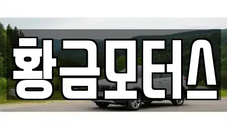 전북 전주시 덕진구 호성동3가 중고차 전문 황금모터스