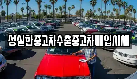 전북 전주시 완산구 교동 중고차매입 전문 성실한중고차수출중고차매입시세