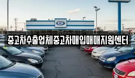전북특별자치도 군산시 미룡동 중고차매입 전문 중고차수출업체중고차매입매매지원센터