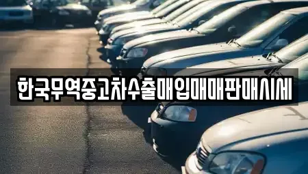 전북특별자치도 군산시 미룡동 중고차매입 전문 한국무역중고차수출매입매매판매시세