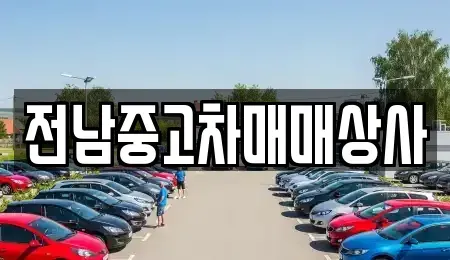 전북특별자치도 전주시 완산구 동완산동 중고차 전문 전남중고차매매상사