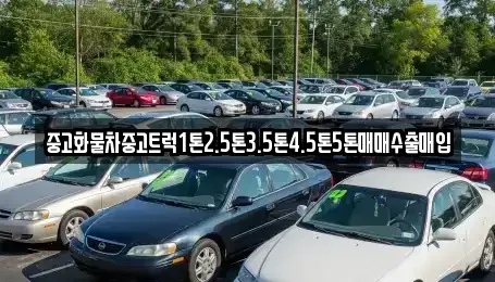 전북특별자치도 전주시 완산구 동완산동 중고차 전문 중고화물차중고트럭1톤2.5톤3.5톤4.5톤5톤매매수출매입