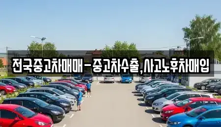 전북특별자치도 전주시 완산구 동완산동 중고차매입 전문 전국중고차매매-중고차수출,사고노후차매입