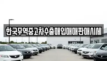전북특별자치도 전주시 완산구 동완산동 중고차매입 전문 한국무역중고차수출매입매매판매시세