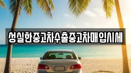 전북특별자치도 전주시 완산구 서노송동 중고차매입 전문 성실한중고차수출중고차매입시세