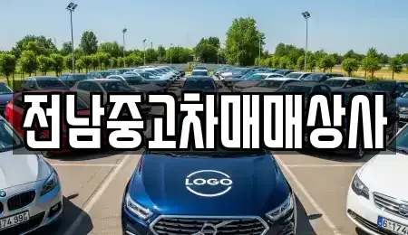 전북특별자치도 전주시 완산구 원당동 단기렌트카,중고차매입,중고차매매,중고차,렌트카,장기렌트카