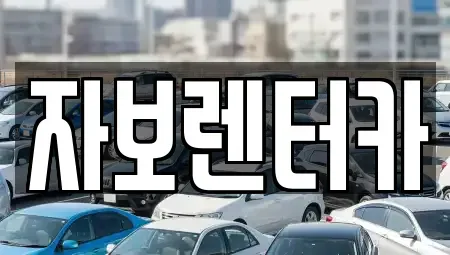 제주 제주시 건입동 렌트카 전문 자보렌터카