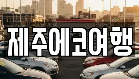 제주 제주시 건입동 렌트카 전문 제주에코여행