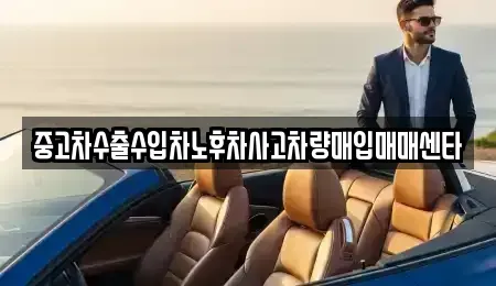 제주 제주시 건입동 중고차,렌트카,중고차매입,중고차매매,장기렌트카,단기렌트카
