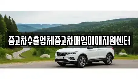 제주 제주시 건입동 중고차매입 전문 중고차수출업체중고차매입매매지원센터