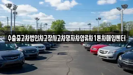 제주 제주시 용담삼동 중고차매매 전문 수출중고차법인차고장사고차망자차압류차1톤차매입센터