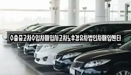제주 제주시 용담삼동 중고차매매,단기렌트카,중고차매입,장기렌트카,중고차,렌트카