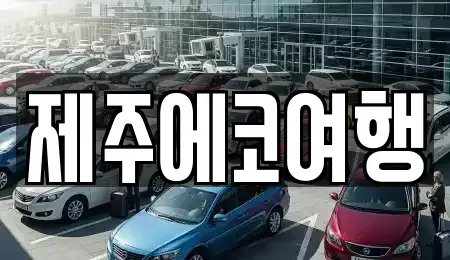 제주 제주시 화북이동 렌트카 전문 제주에코여행