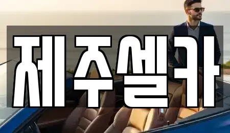 제주 제주시 화북이동 중고차 전문 제주셀카
