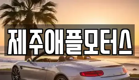 제주 제주시 화북이동 중고차 전문 제주애플모터스