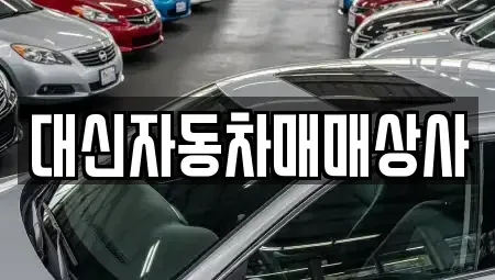 제주 제주시 화북이동 중고차매매 전문 대신자동차매매상사