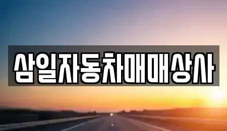 제주특별자치도 서귀포시 하원동 중고차 전문 삼일자동차매매상사