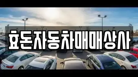 제주특별자치도 서귀포시 하효동 중고차매매 전문 효돈자동차매매상사