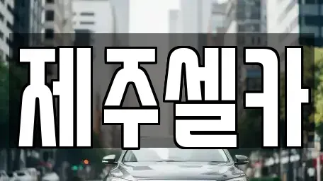 제주특별자치도 제주시 도련일동 중고차 전문 제주셀카