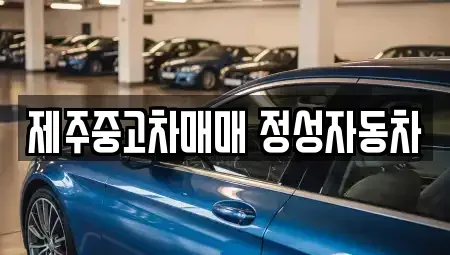 제주특별자치도 제주시 도련일동 중고차 전문 제주중고차매매 정성자동차