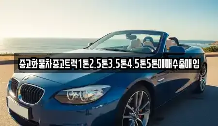 제주특별자치도 제주시 도련일동 중고차매입 전문 중고화물차중고트럭1톤2.5톤3.5톤4.5톤5톤매매수출매입