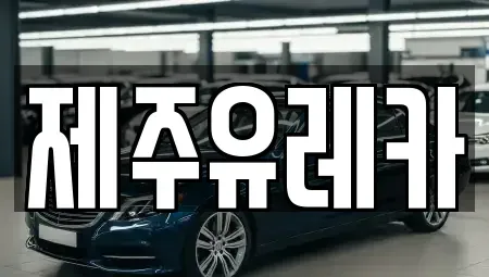 제주특별자치도 제주시 렌트카 전문 제주유레카
