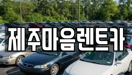 제주특별자치도 제주시 장기렌트카 전문 제주마음렌트카