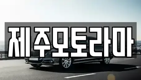 제주특별자치도 제주시 중고차매매 전문 제주모토라마