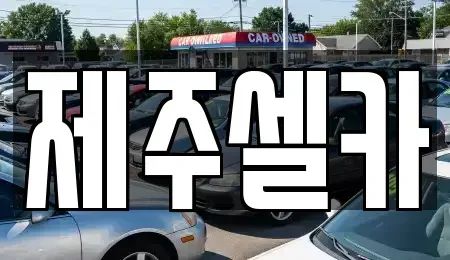 제주특별자치도 제주시 중고차매매 전문 제주셀카