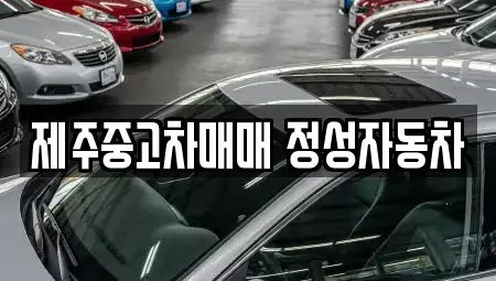 제주특별자치도 제주시 중고차매매,단기렌트카,중고차매입,장기렌트카,중고차,렌트카