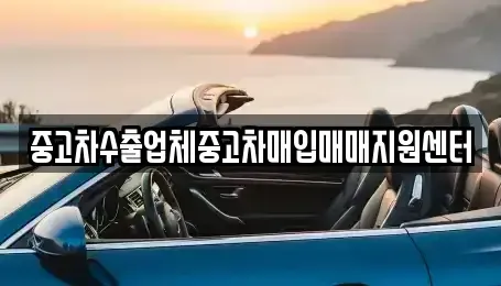 제주특별자치도 제주시 중고차매입 전문 중고차수출업체중고차매입매매지원센터